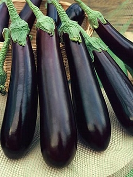 long-purple