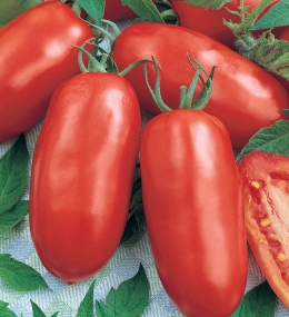 san-marzano-nano