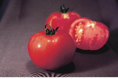 olympe-f1-v-f-n